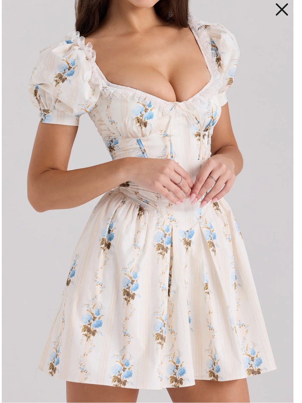 Ivory Floral Puff-Sleeve Corset Mini Dress - Blue & Brown - Picture 3 of 4